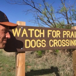 Prairie Dogs Crossing