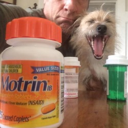 Fridays With Freddy: "Pain Relievers?"