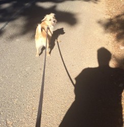 Fridays With Freddy: My Biped, His Shadow & Me