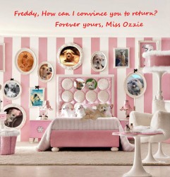 Fridays With Freddy: Miss Ozzie's Invitation