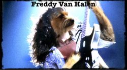 Fridays With Freddy: Rock on Bipeds.  Rock on...