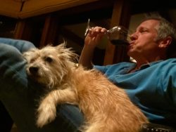 National Dog Day